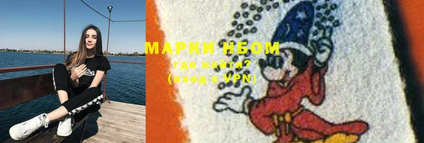соль ск Алексин