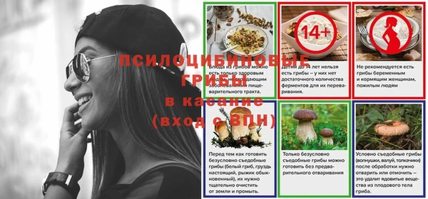 гидра Алзамай