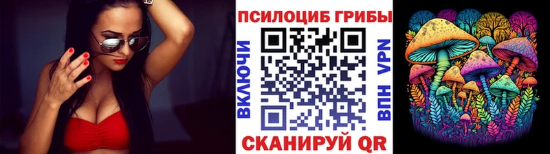 Псилоцибиновые грибы Magic Shrooms  Аргун 
